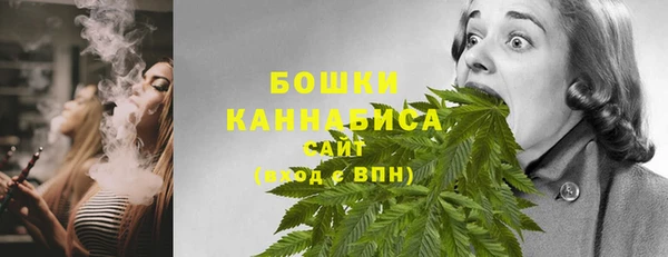 молекула духа Вязьма